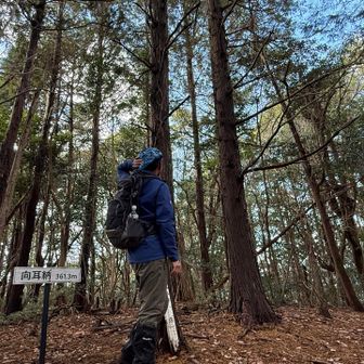 向耳納 登頂
本日最終の五座目