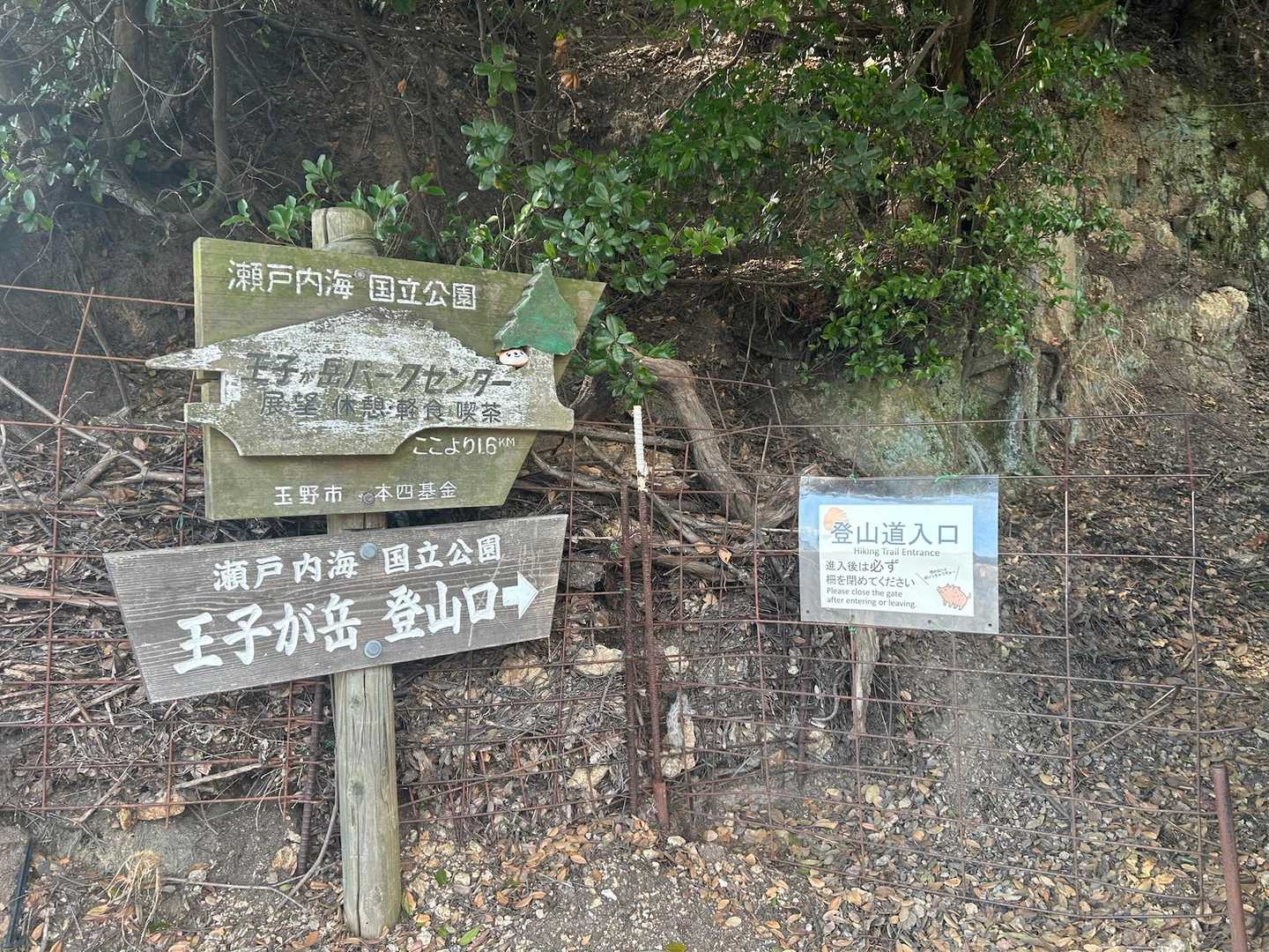 下山完了👍途中大きな動物が林をドサドサ移動してたけど、たぶん猪🐗！⚠️