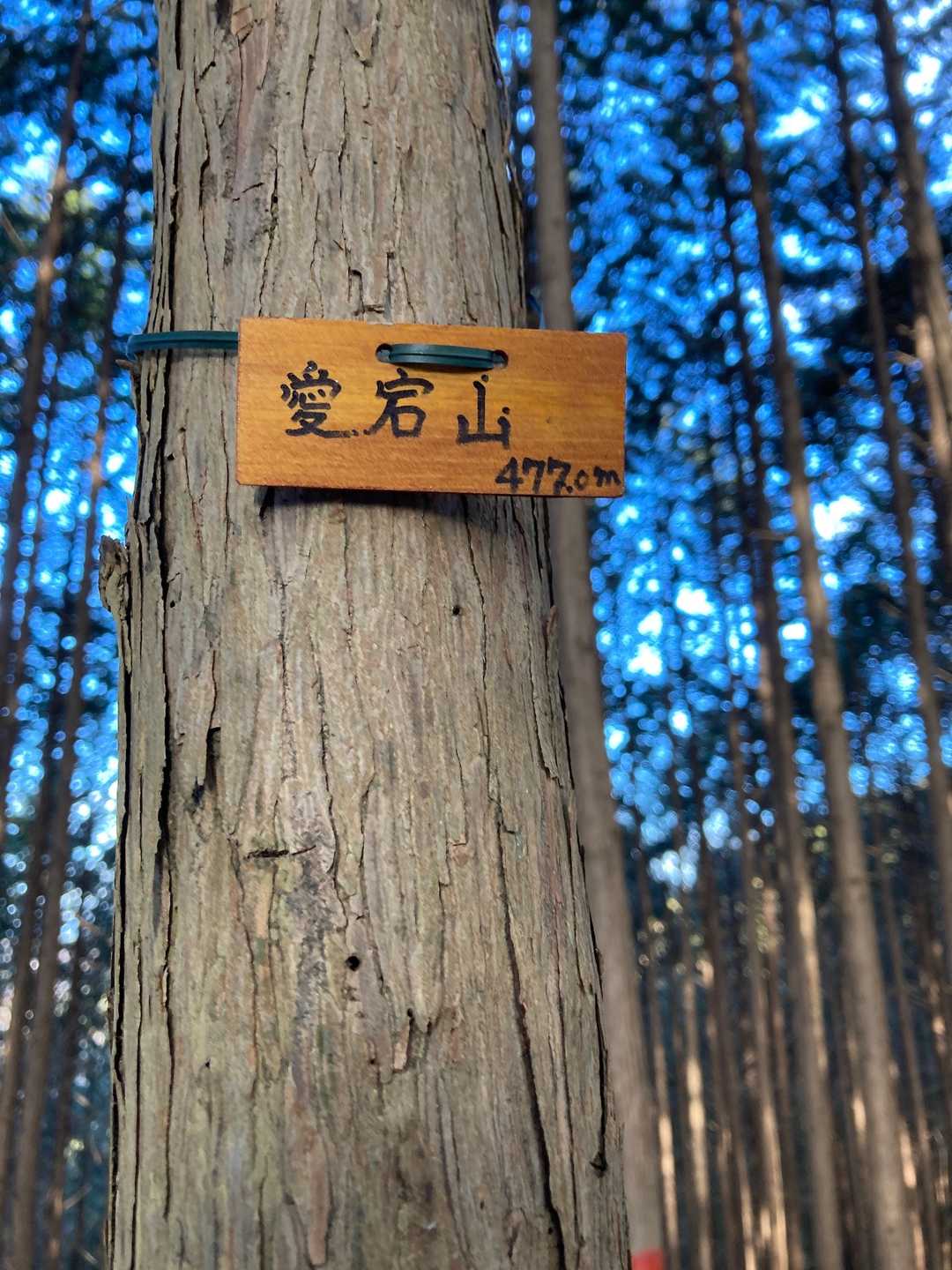 愛宕山頂上