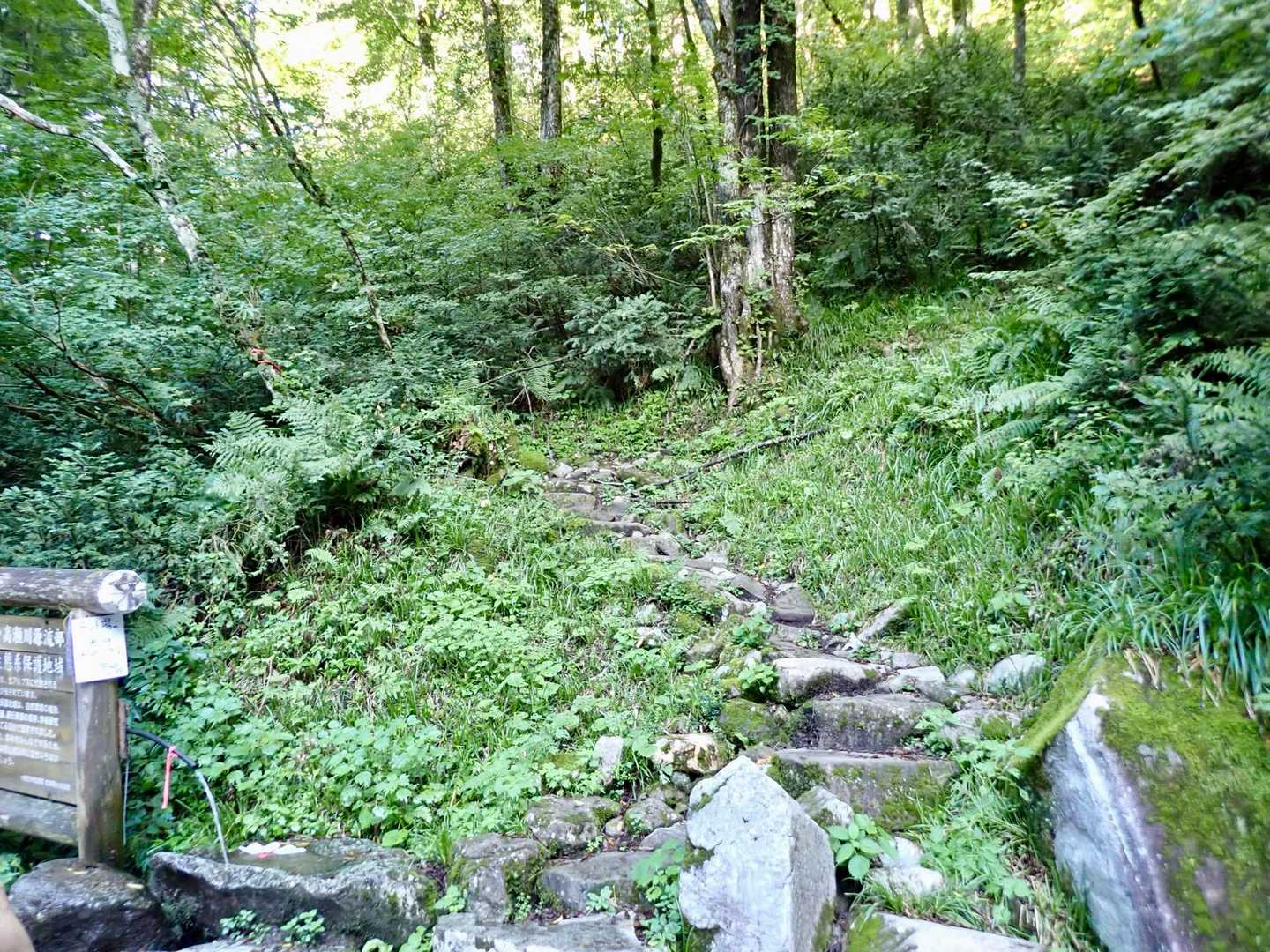 さあ来ました、笠新道入り口