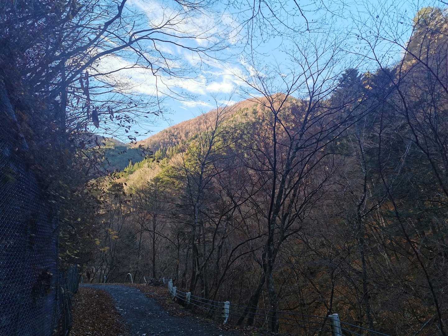 林道歩きが長いことだけが玉に瑕