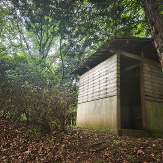 山頂手前に🚾