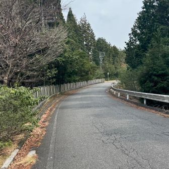 林道長いっす💦