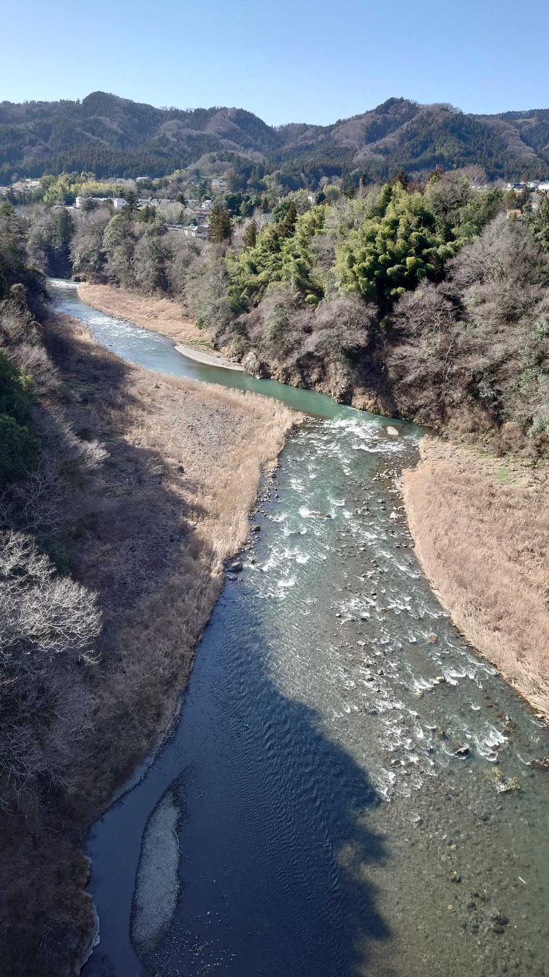 日向和田駅-三室山-梅野木峠-日の出山-つるつる温泉バス停 縦走コースの写真