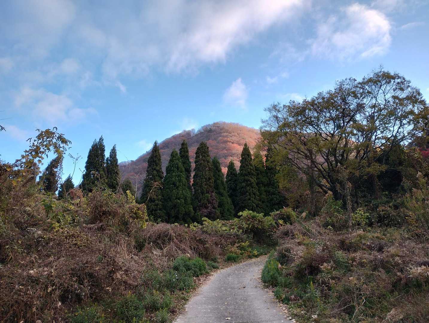 おはようございます☀
高崎山が光って見える✨