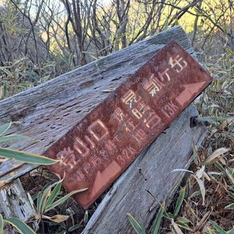 南岳は標柱も展望もなく😢