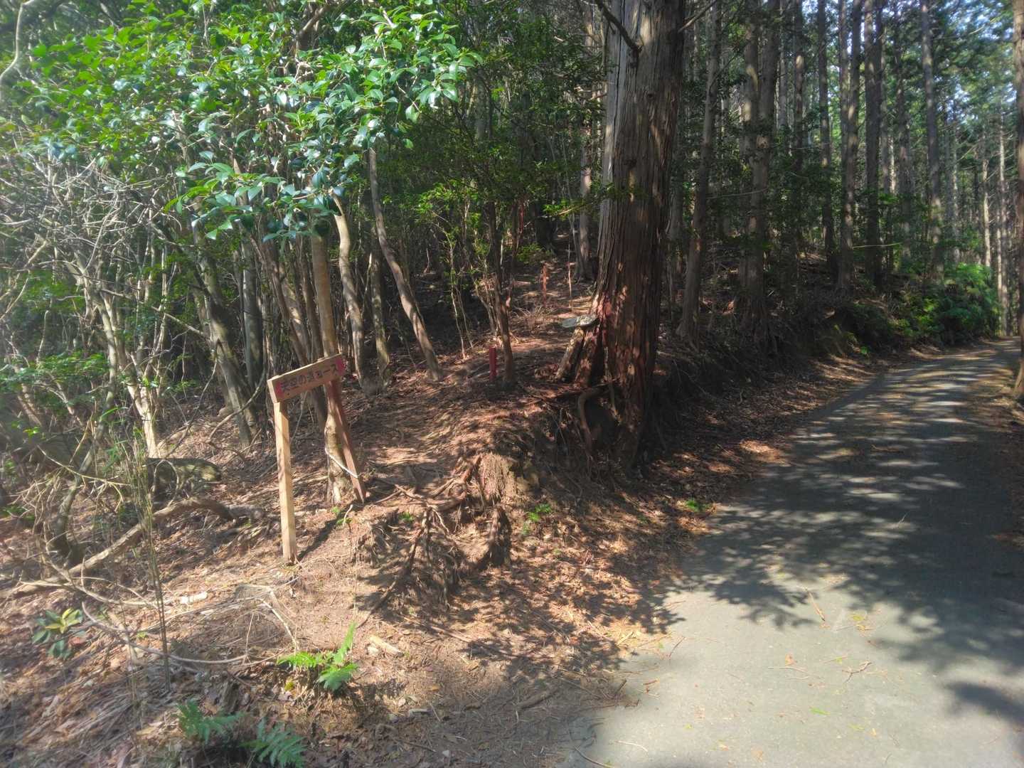 林道歩いて‥
目と鼻の先に‥登山口‥👌