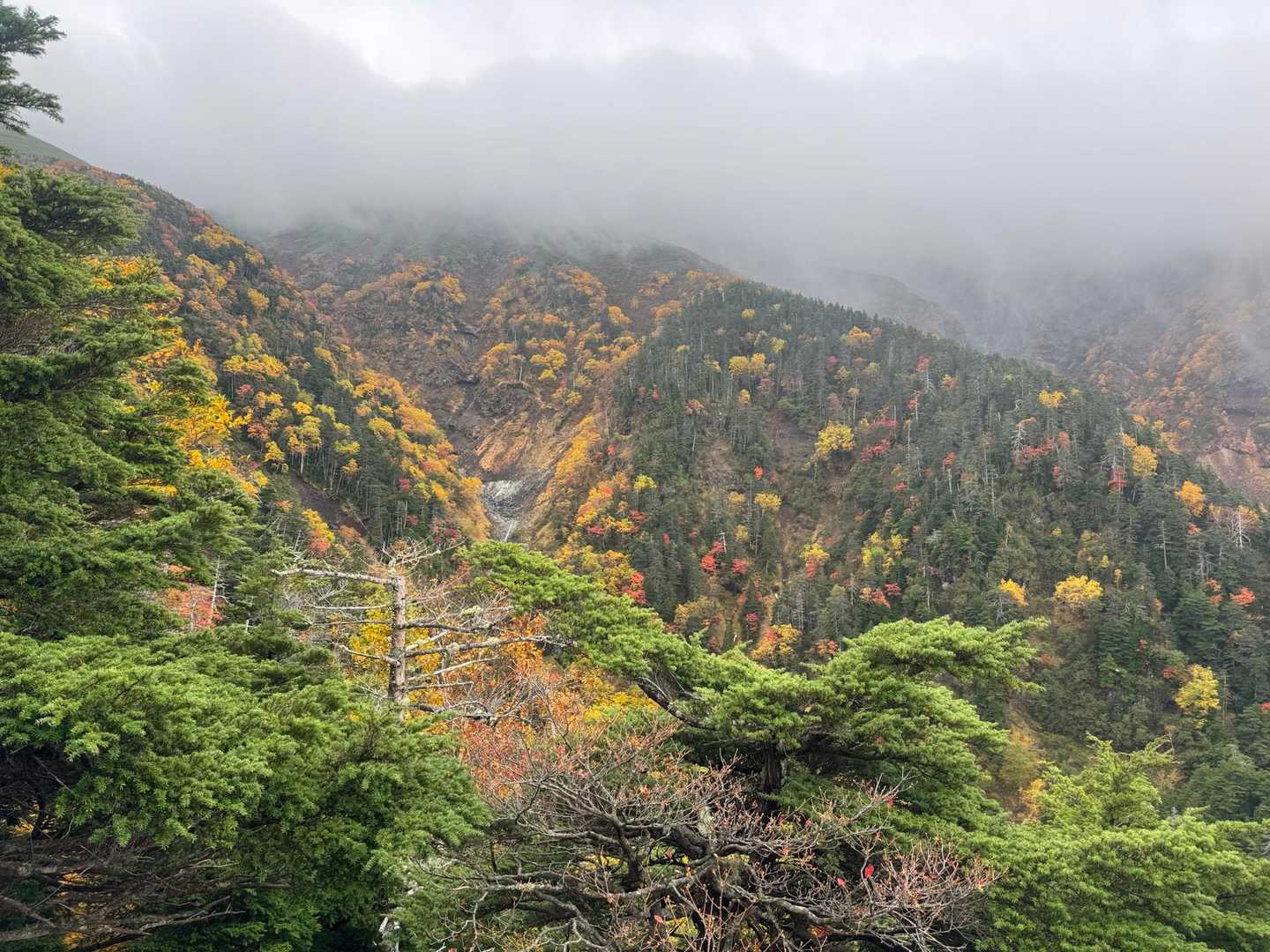 覗いてみると🍁