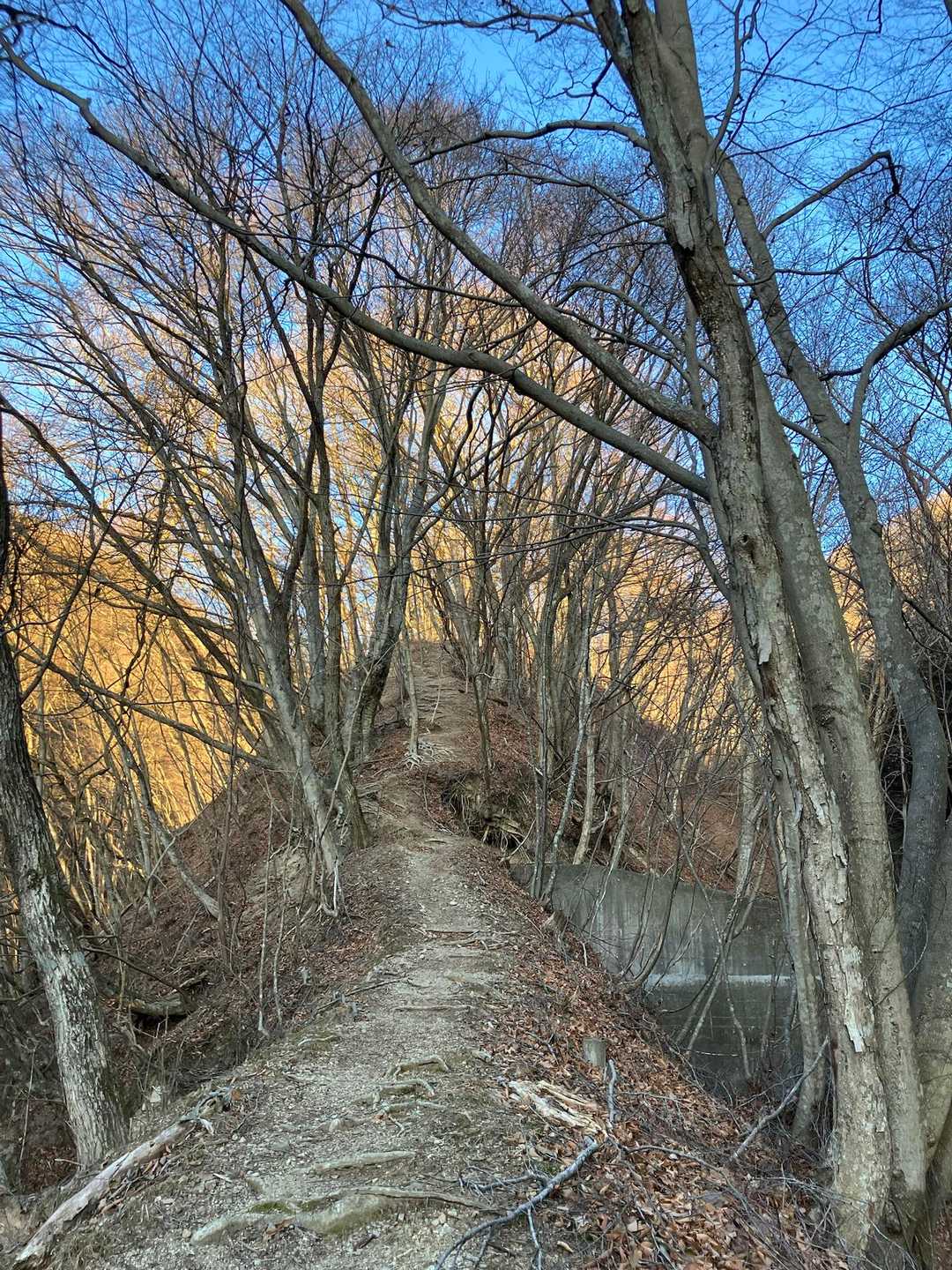 矢立の杉-笹子峠-笹子雁ヶ腹摺山 往復コースの写真