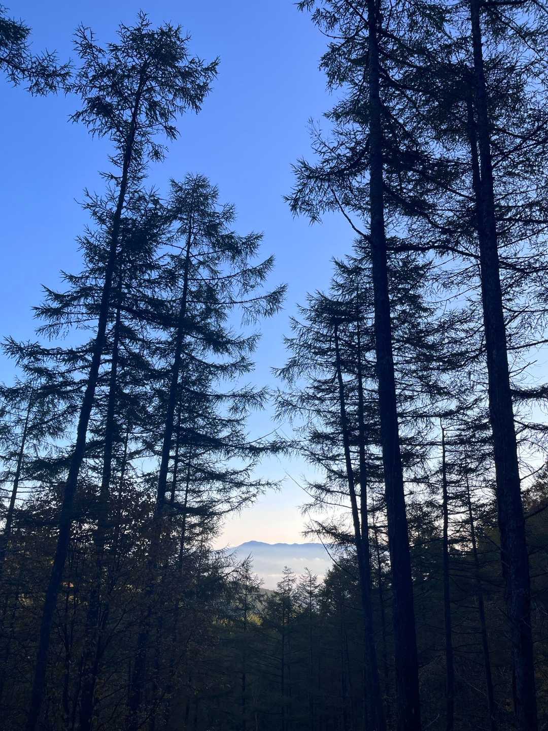 なんの山だ！？(山を覚えられない笑)