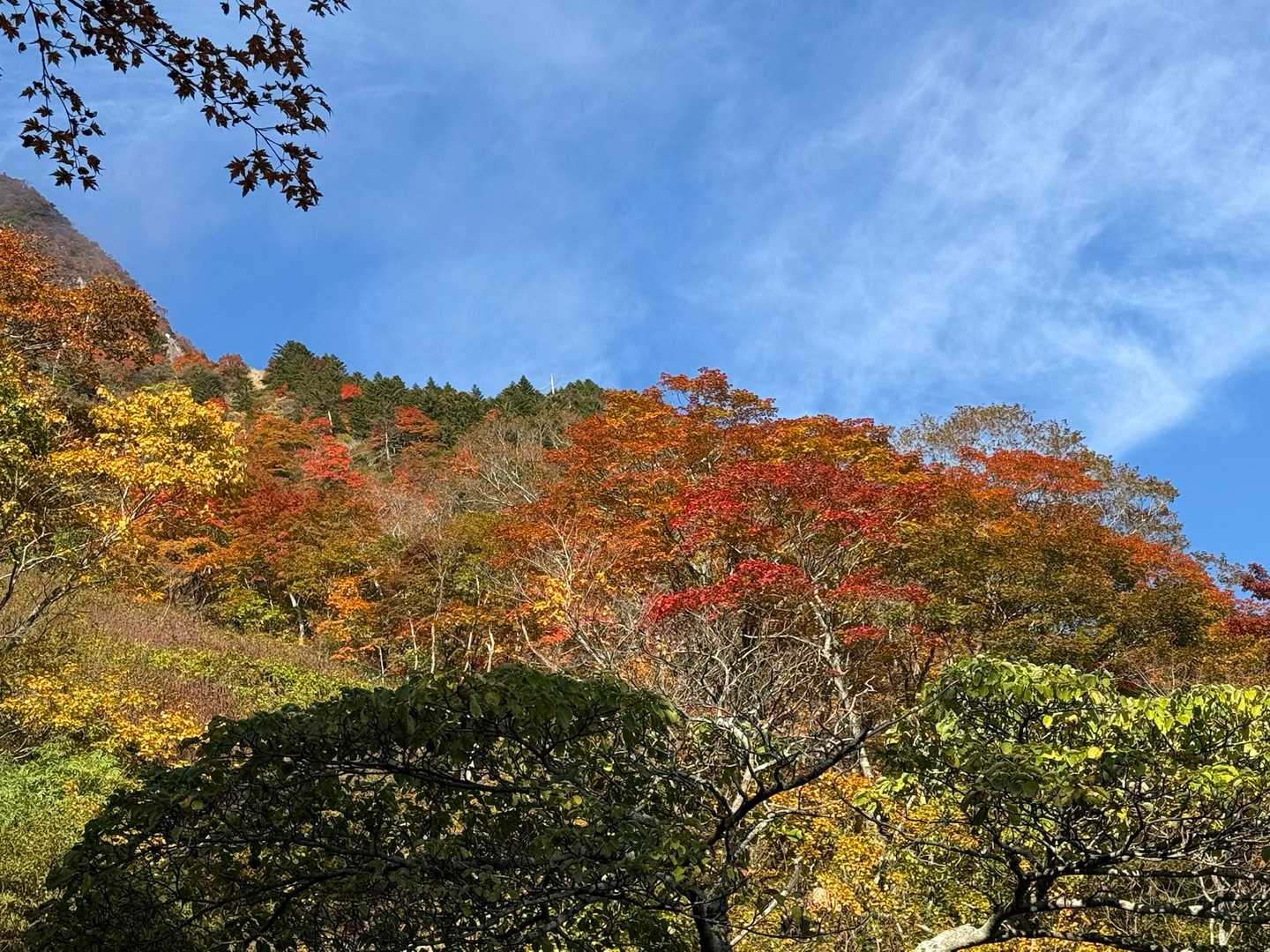 土小屋登山口-石鎚山 縦走コースの写真