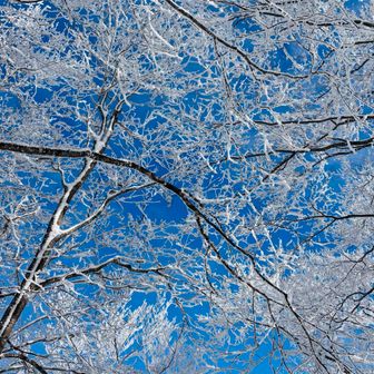 帰り、見る角度が変わって気づく景色
いいですね〜☺️