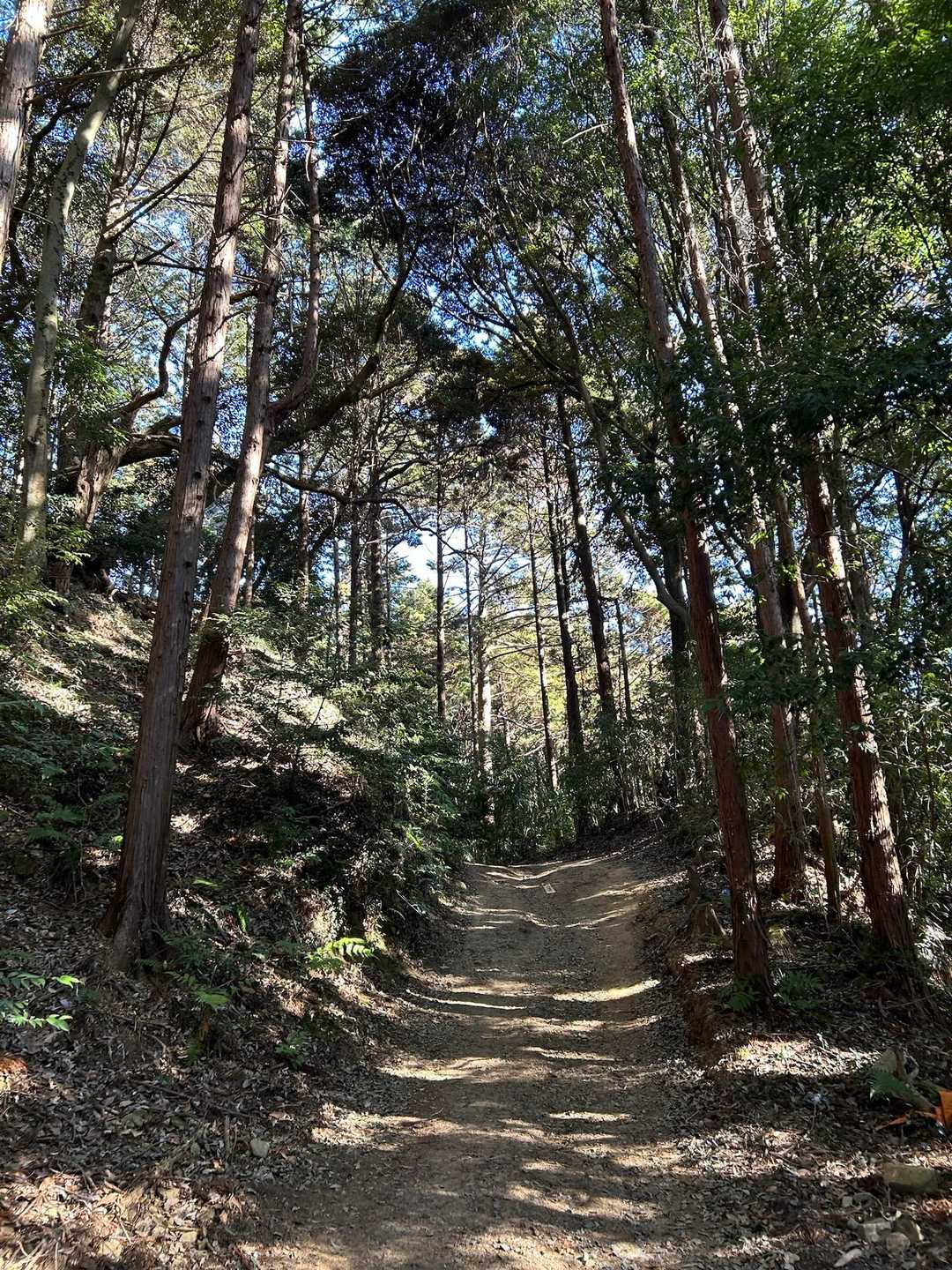 雨引観音バス停-雨引観音-雨引山-御嶽山 往復コースの写真