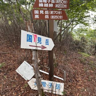 烏帽子の方へ