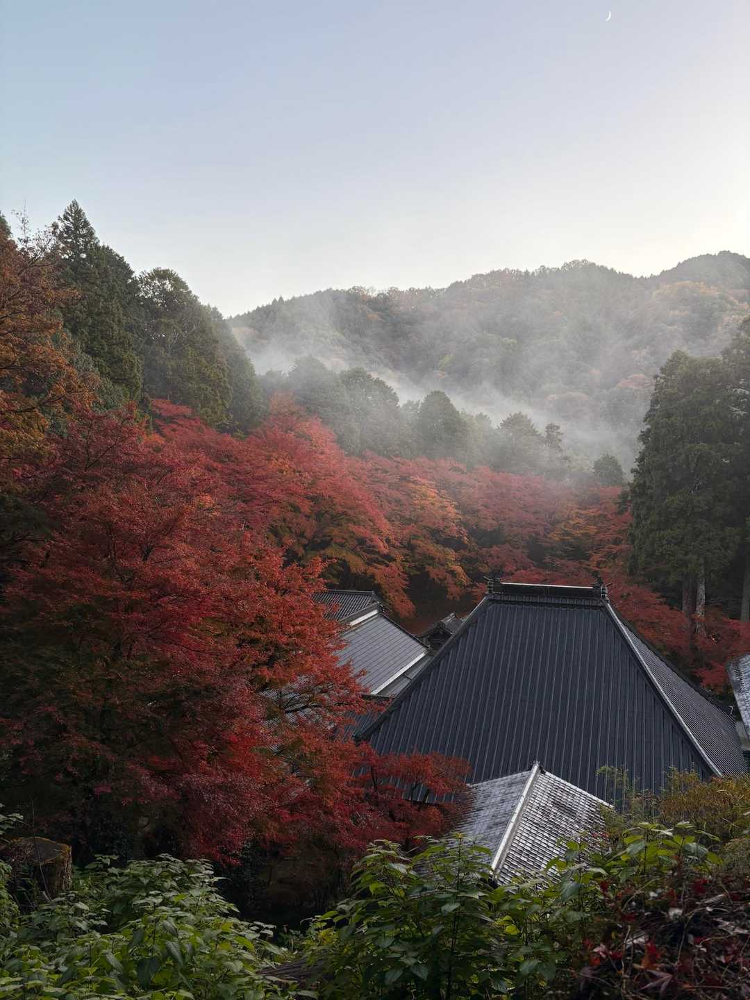 香積寺へ降りて来ました。幻想的です