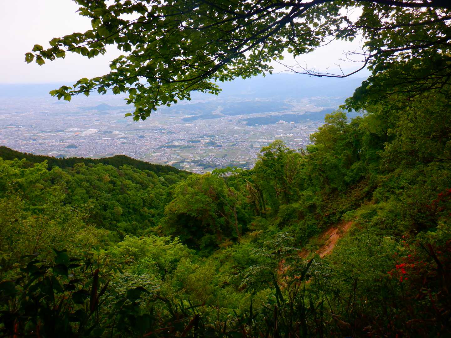 水越峠バス停-水越峠-葛城山 往復コースの写真