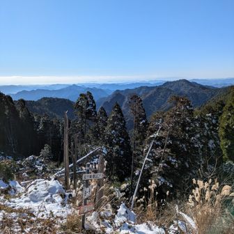 尾根に出た。見晴らしいいな〜