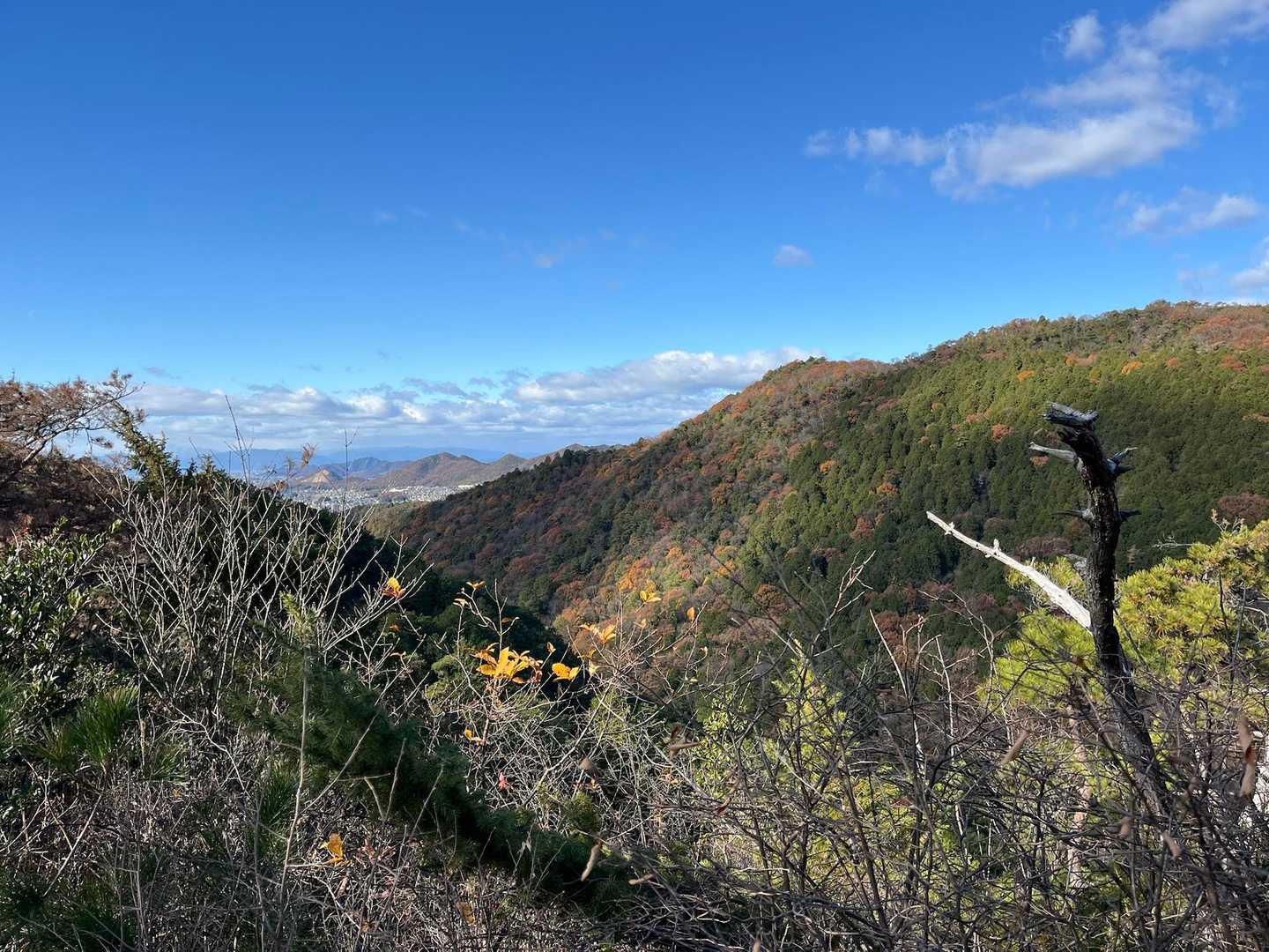 寂光院-継鹿尾山-石原登山口-大平山 縦走コースの写真