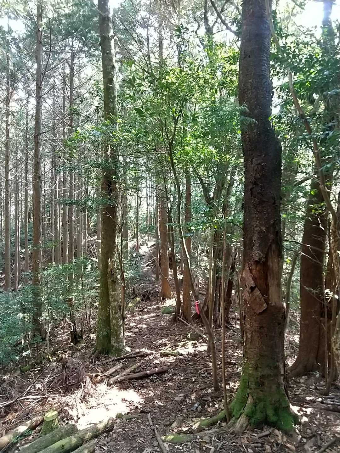 景色も見えない