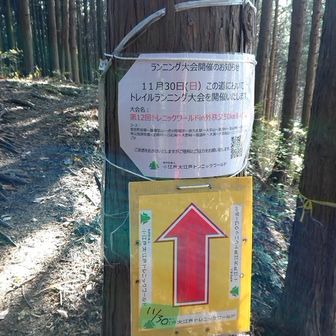 11/30ちょうどトレイルランニングの大会があったらしく、このあと数十人とすれ違いました
とりわけ最初に出会った2人がそれ以降の選手との時間差、息切れのない平然とした様子で印象的でした
寄居から越生まで50kmを5～10時間とかで踏破するようで、すごいものですね