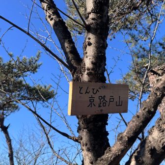 とにかく山の看板が全部木に貼り付けてあるのでそれを探すのに時間がかかる