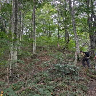 メンバーの待ってる分岐に戻ってきた
では、岩籠山へ