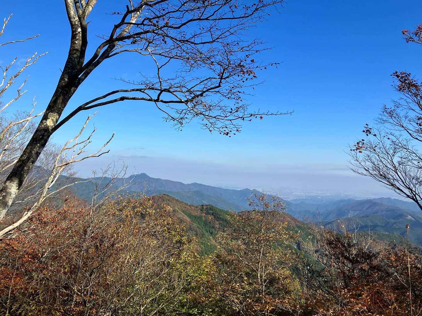 都民の森-鞘口峠-三頭山-ムシカリ峠-三頭大滝 周回コースの写真