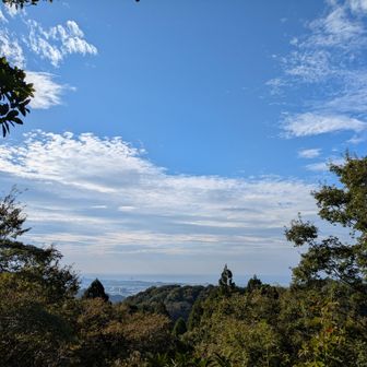 日本海上空　薄雲広がって来たかな