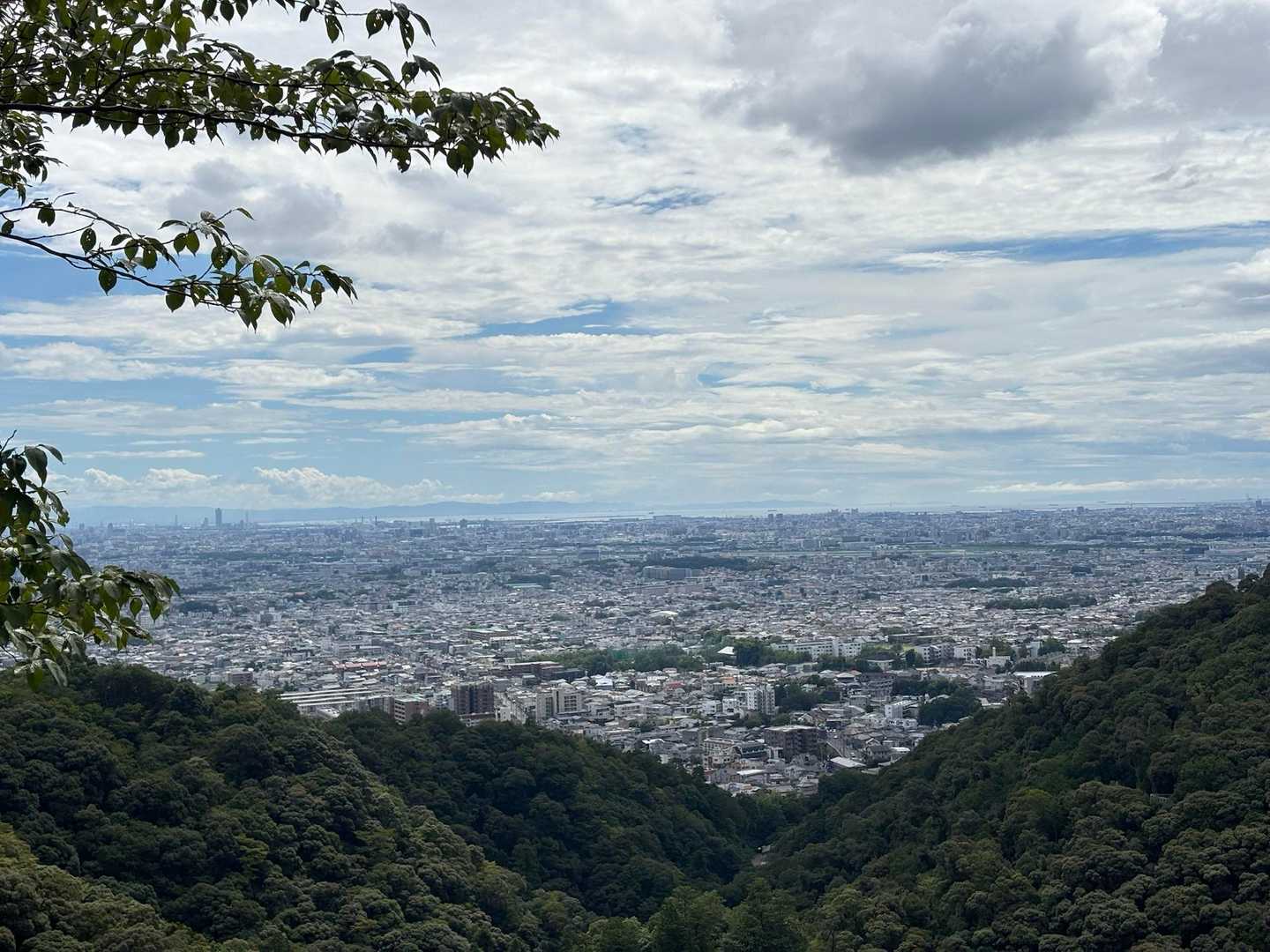 展望台からの景色
確かに、海が見えてます。
風も吹いていい感じ。