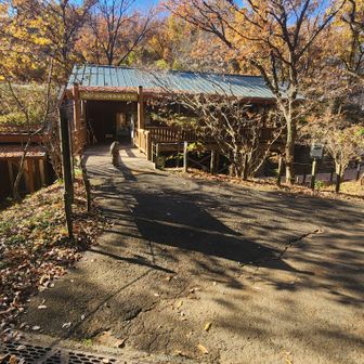 ここがみどりの森博物館案内所
綺麗な建物です。