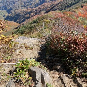 鳥原山方面へ。ここからようやく静かに…