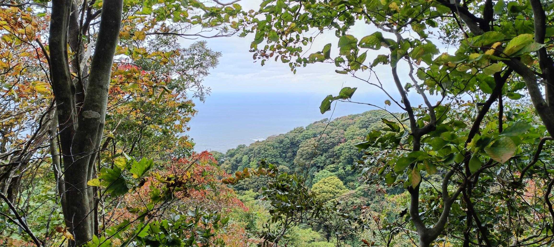 角田山（五ヶ峠登山口）<五ヶ峠コース>の写真