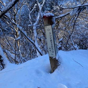 鳶岩に向かう案内💁‍♀️