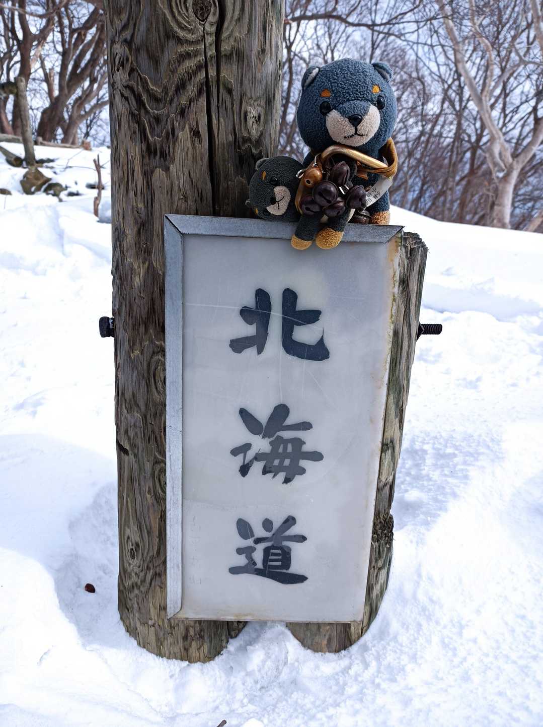 北海道🐶🤣
古平丸山山頂です🐶