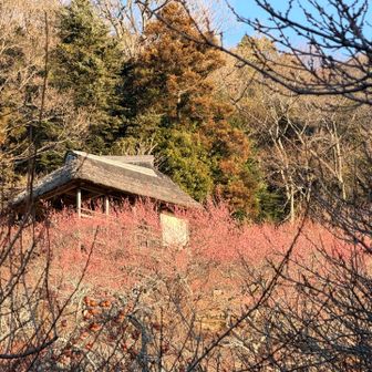 四阿がいい感じ😊