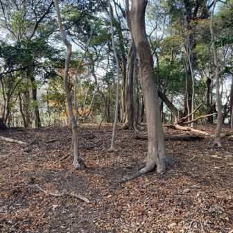 平らになってる