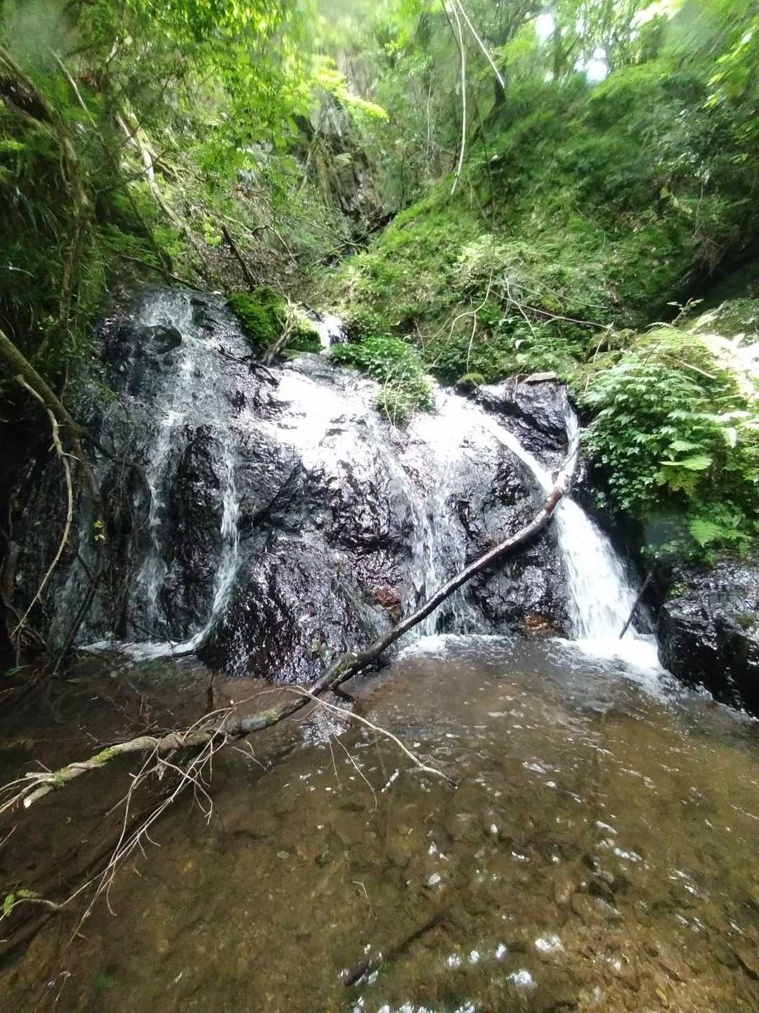 小滝直登