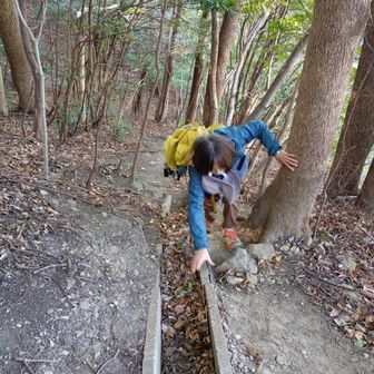 登山口からすぐの急登、