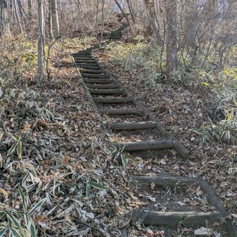 階段を下りてきたよ。