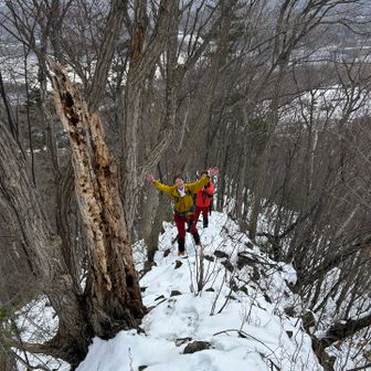 野生のりかこさん