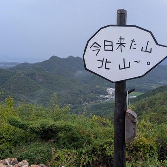 コレが見たかった👍✨