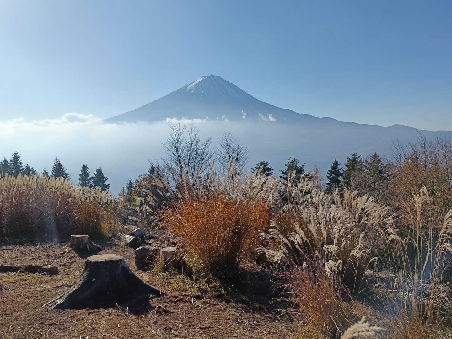 今度は富士山とすすきのコラボ
