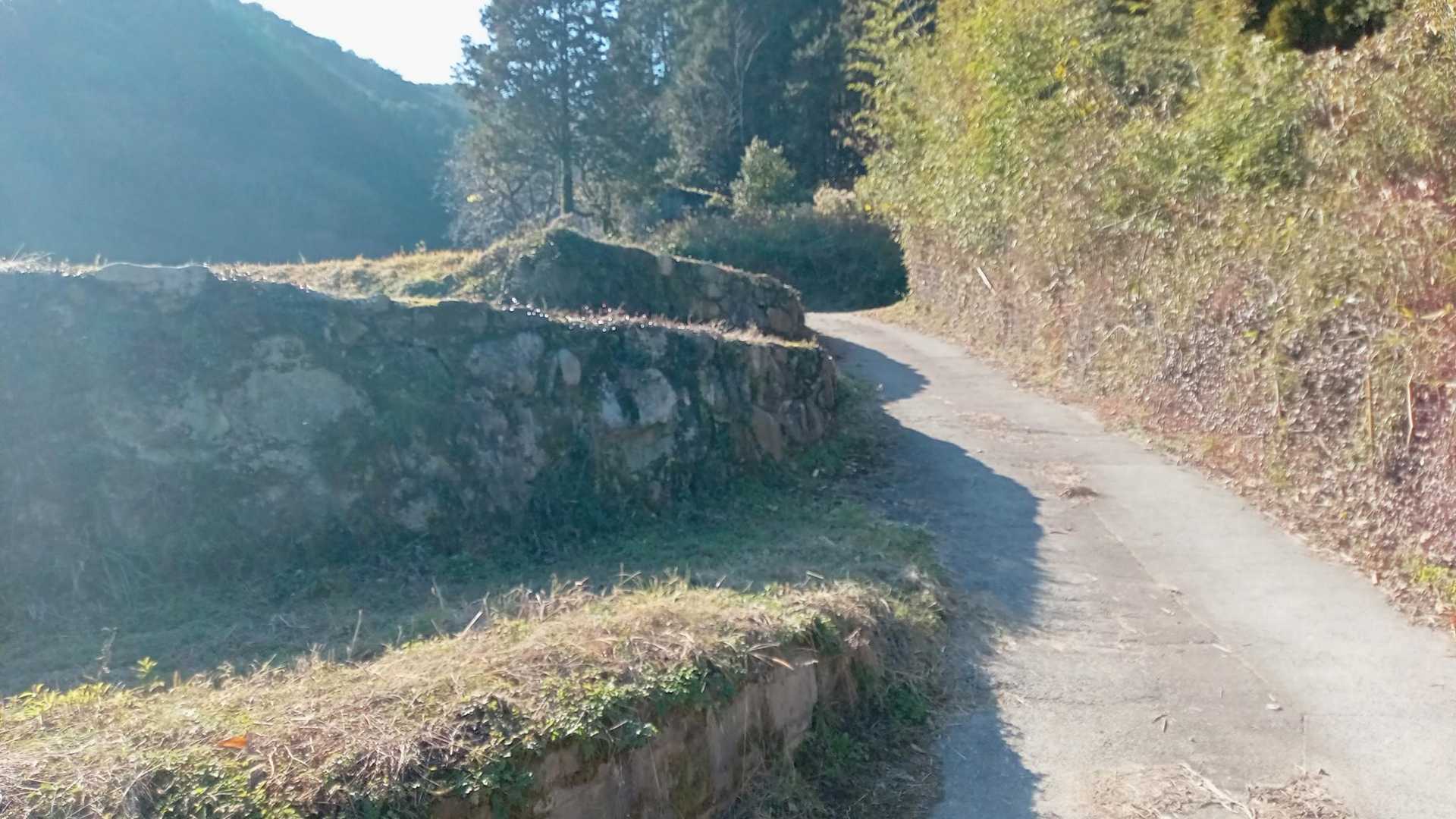 まずは舗装路歩きだった