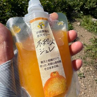 冷やしながら持って来たジュレ🍊が美味しい😋