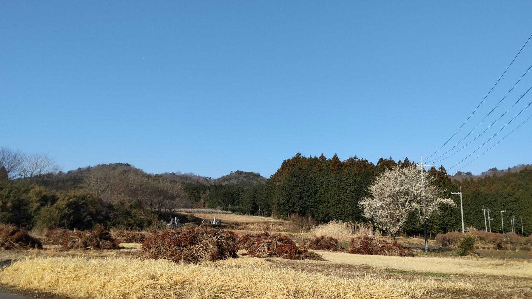 良い天気🌸
絶好の登山日和😊