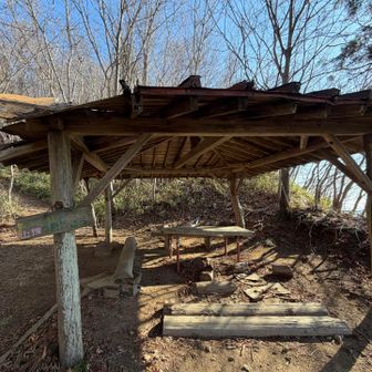 尾根に辿り着きました！
奥久慈男体山山頂まであと少しです。