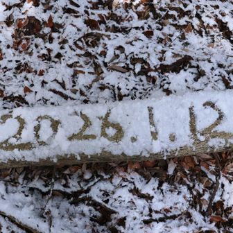 今日の日付を書いてみた