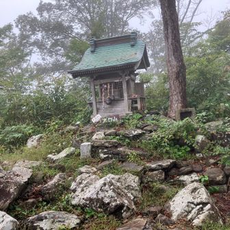 山頂