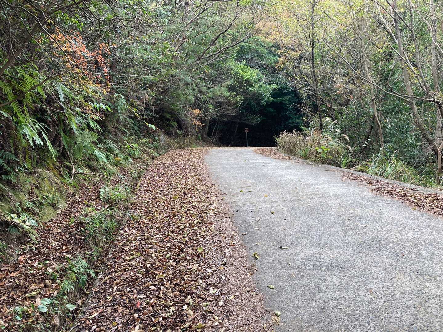 舗装路出ました。
山頂までは車道歩きです。
