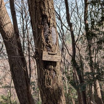 愛宕山の山名標。探すの大変だった